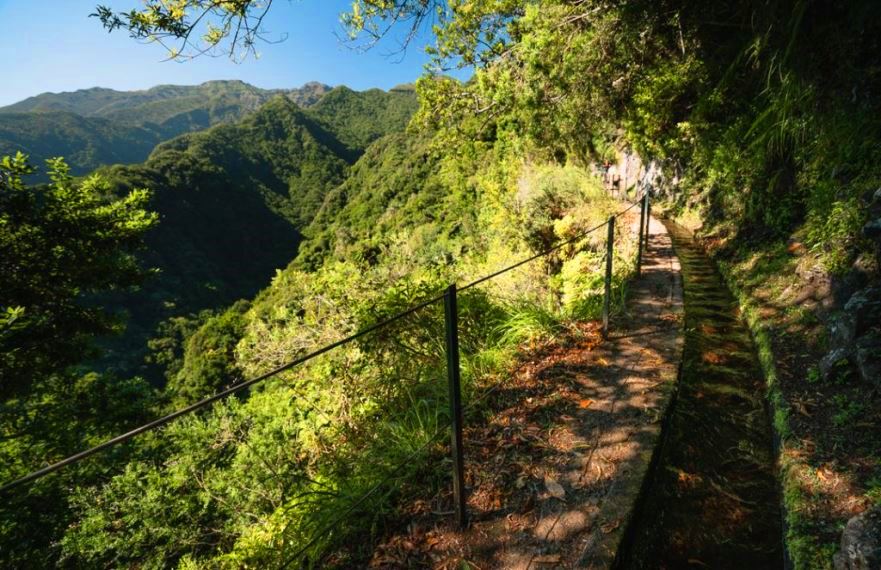 Levada do Rei- Laurel Forest in Madeira